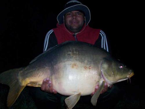 2-Carpe-de-16-Kg-nuit