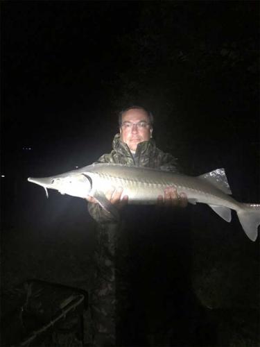 Resized IMG 40221web