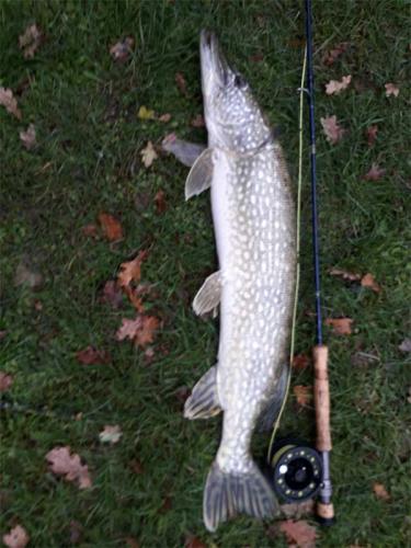 peche-bourgogne-2019-030-we